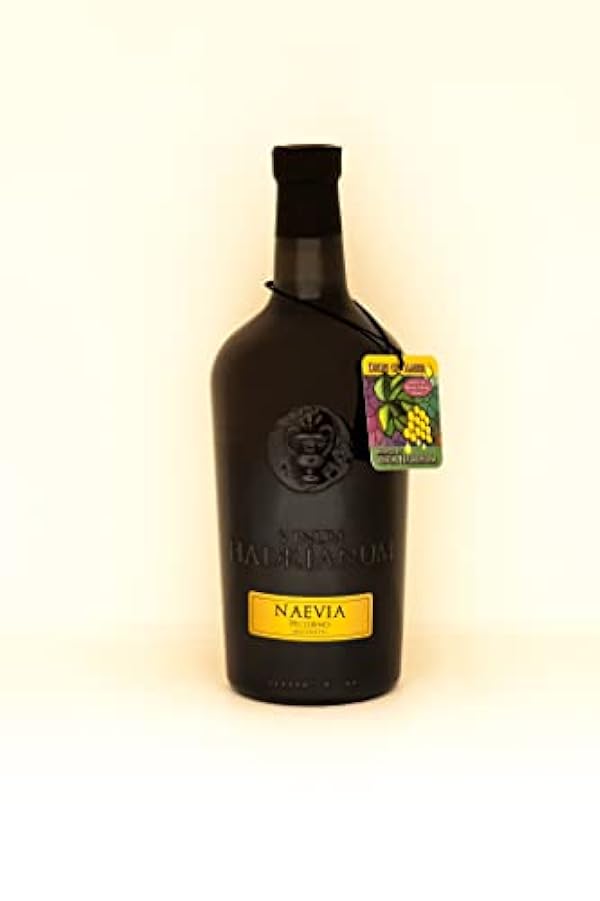 Vinum Hadrianum Vino Raccolto a Manoprocesso Naturale Al 100% - Amphora NEVIA 2020 Vino Amber | 100% Pecorino Uve Abruzzo DOC Vino Bianco Invecchiato | Anfora di argilla - 25,36 Fl Oz (750 ml) - 3 296834249