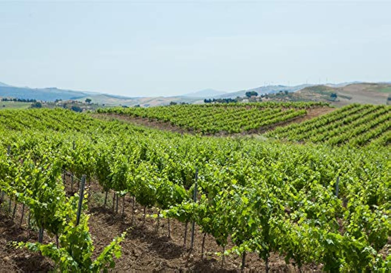 Fazio ´Montelimo Rosso´´ Rosso Igt Terre Siciliane - 2018 - Pacco da 6 x 750 ml 291373636